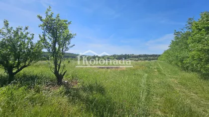 Rogača | 4zida.rs