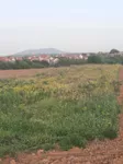 Poljoprivredno zemljište | 4zida
