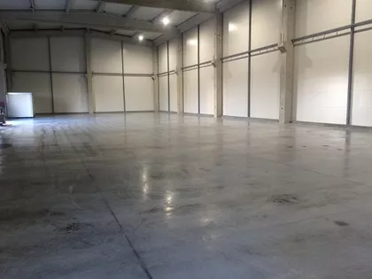 NOVOSADSKI AUTOPUT | 4zida.rs