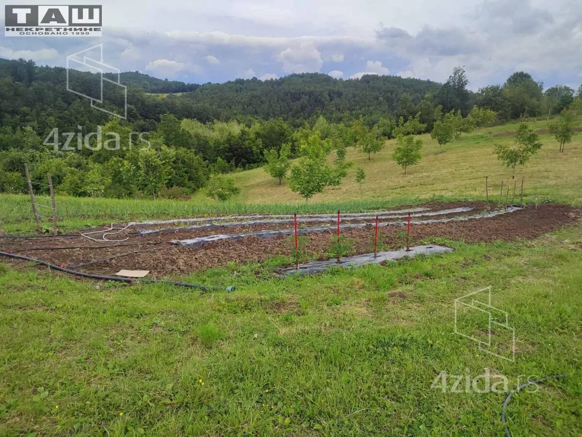 Plac | 4zida