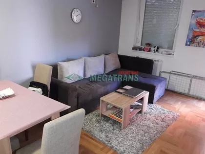 Vase Pelagića | 4zida.rs
