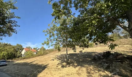 Vezirac | 4zida.rs
