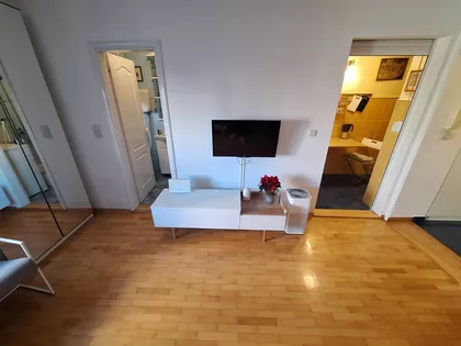 Bulevar Despota Stefana | 4zida.rs