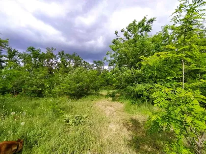 Peščarina | 4zida.rs