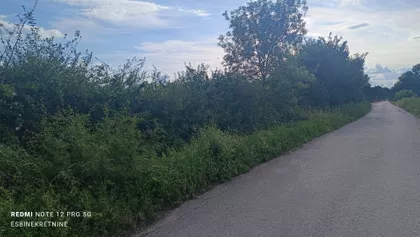 Beloševačka | 4zida.rs