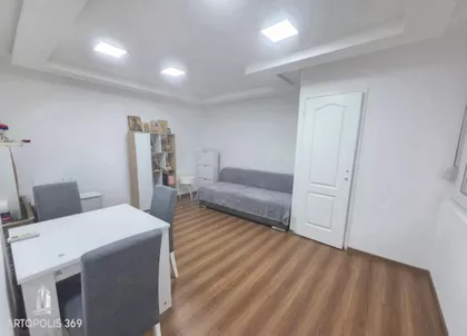 Dragoslava Srejovića | 4zida.rs