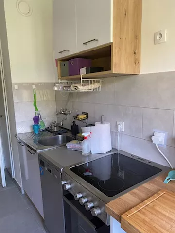 Mis Irbijeva 58 | 4zida.rs