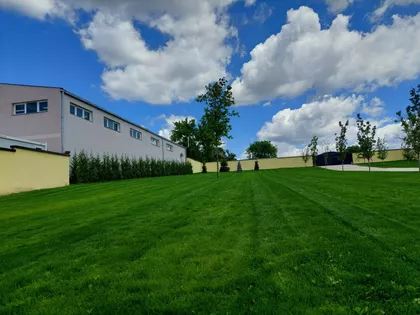 Fruška Gora | 4zida.rs