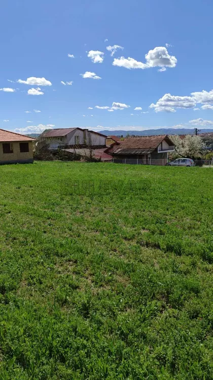 Pere Todorovića | 4zida.rs