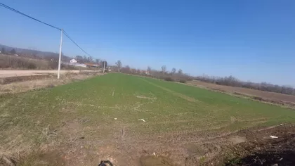 Svetog Save | 4zida.rs