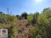 Plac | 4zida