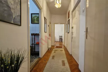 Sanje Živanovića | 4zida.rs