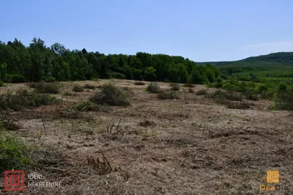 Rizopek | 4zida.rs