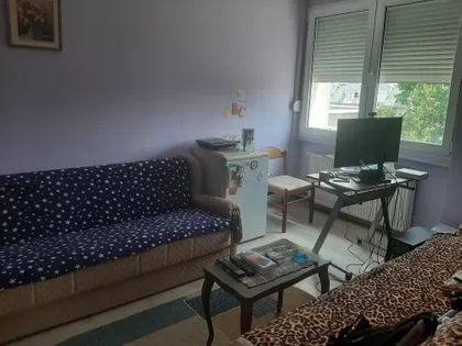 Zmaj Jovina | 4zida.rs