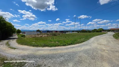 Miodraga Pantića | 4zida.rs