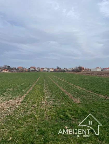 Novi Banovci | 4zida.rs