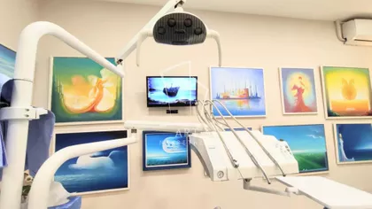 Dalmatinska | 4zida.rs