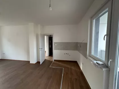 Mitra Trifunovića Uče | 4zida.rs