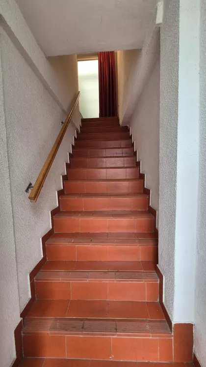 Cara Dušana | 4zida.rs