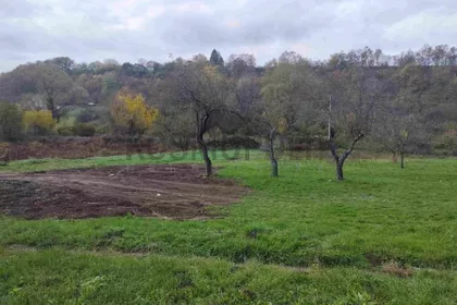 Miodraga Vukovića | 4zida.rs