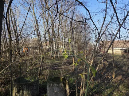 Radanovac | 4zida.rs