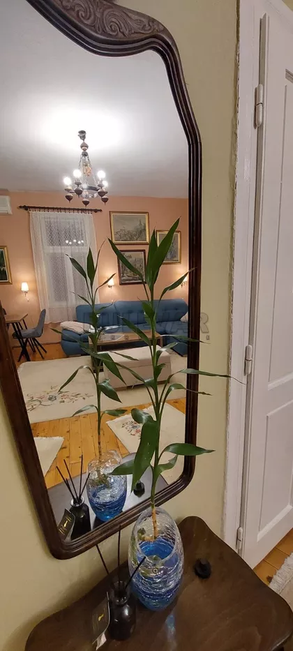 Milorada Veljkovića Špaje | 4zida.rs