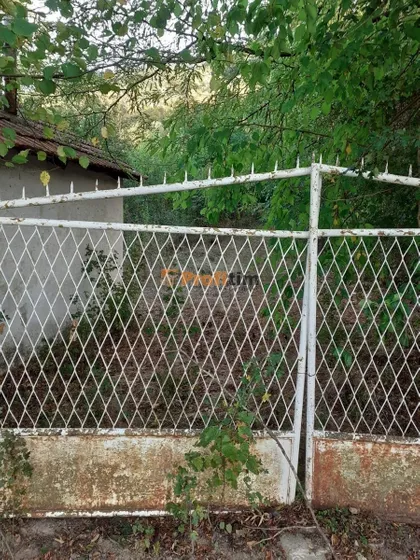 Veliki vis | 4zida.rs