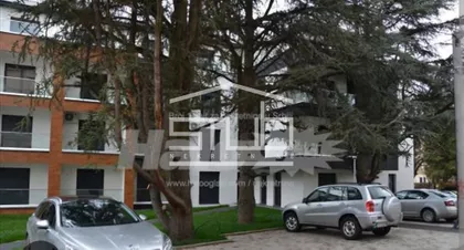 Boška Buhe | 4zida.rs