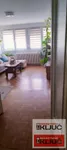 Bulevar Oslobođenja, Gradske lokacije, Novi Sad | 4zida.rs | 4zida.rs