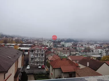 Vitezova Karađorđeve Zvezde