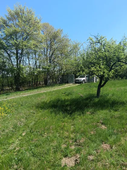 Obrenovački Put 91 | 4zida.rs