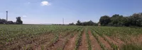 Majur, Okolne lokacije, Šabac | 4zida.rs | 4zida.rs