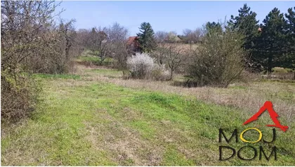 Čortanovci | 4zida.rs