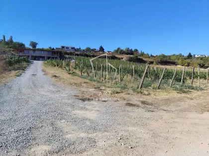 Počenta | 4zida.rs