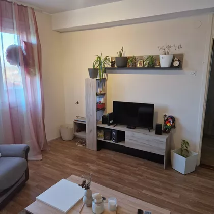 Janka Veselinovića | 4zida.rs