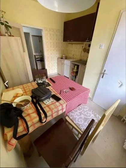 Petra Drapšina | 4zida.rs