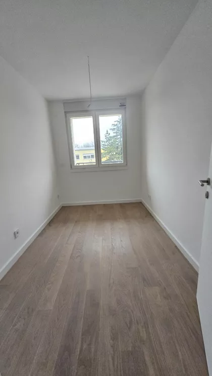 Cara Dušana | 4zida.rs