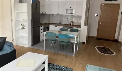 Tadije Sondermajera | 4zida.rs