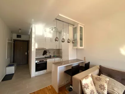 Dragoslava Srejovića | 4zida.rs