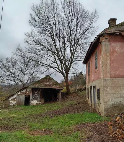 Badnjevac | 4zida.rs