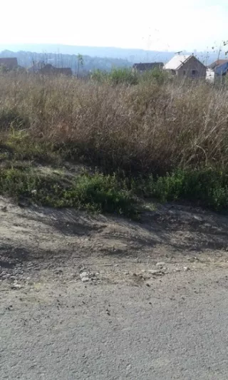 Despotovacka | 4zida.rs