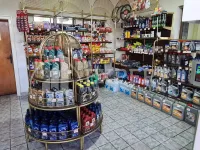 Lokal | 4zida