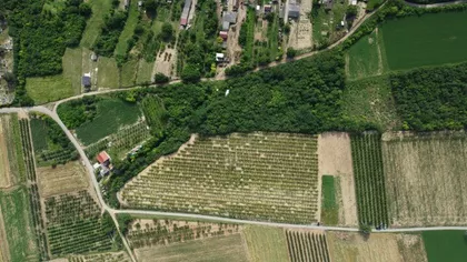 Okolne lokacije | 4zida.rs