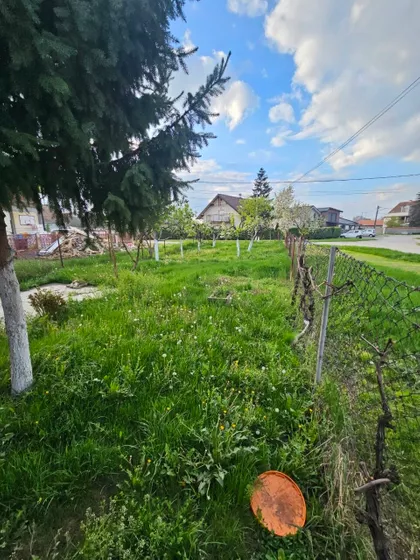 Svetogorska | 4zida.rs