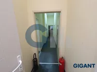 Lokal | 4zida