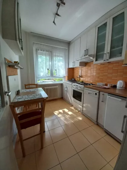 Miše Dimitrijevića | 4zida.rs