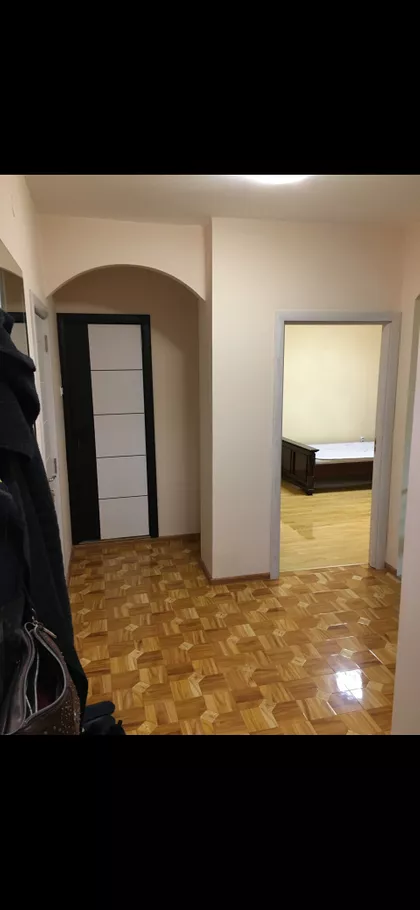 Miše Dimitrijevića | 4zida.rs