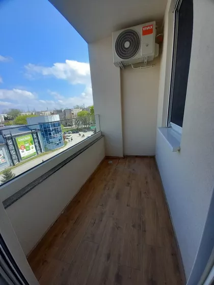 Ruže Šulman | 4zida.rs