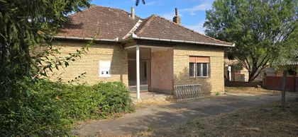 Pačir | 4zida.rs
