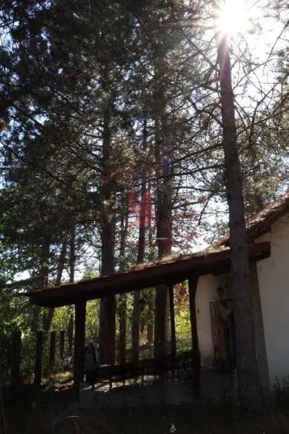 Gradske lokacije | 4zida.rs